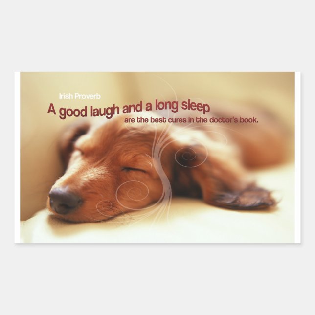 Irish Proverb and Sleeping Dog Sticker (Front)