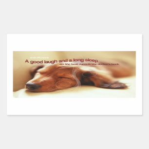 Irish Proverb and Sleeping Dog Sticker