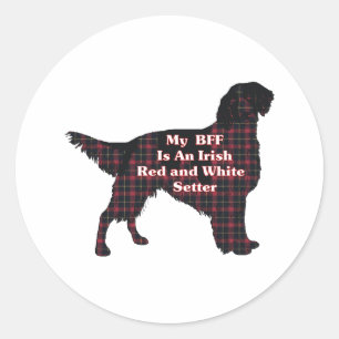Irish Red And White Setter BFF Sticker