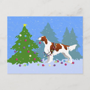 Irish Red and White Setter Decorating Tree Postcard