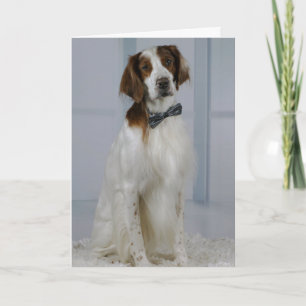 Irish Red and White Setter "Hero Card" Card