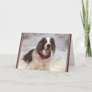 Irish Red and White Setter in the snow and scarf. Card
