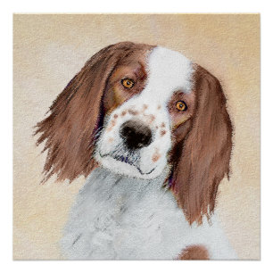 Irish Red and White Setter Painting - Original Art Poster