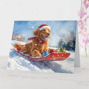 Irish Red Setter in Sledge Let it Snow Christmas Card