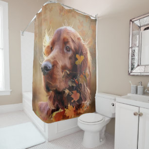 Irish Red Setter, Irish Setter