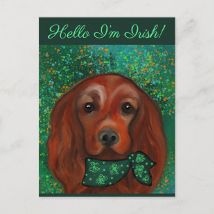 Irish Red Setter       Postcard