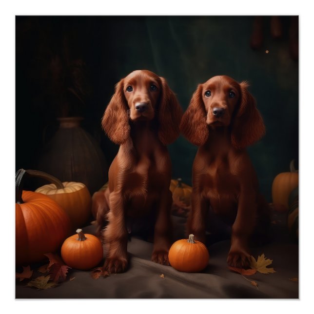 Irish Red Setter Puppy Autumn Delight Pumpkin Poster (Front)