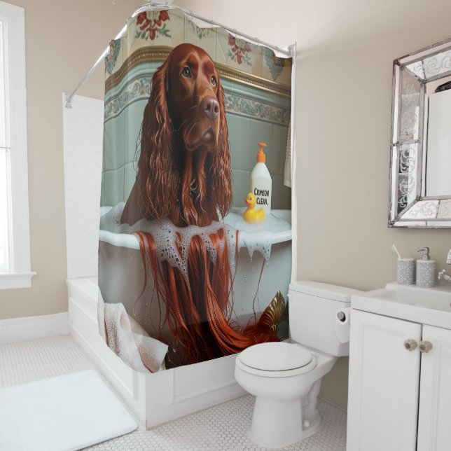 Irish Red Setter Sloppy Sleepy Cute Funny (In Situ)