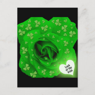 Irish Rose - Luck of the Irish Postcard