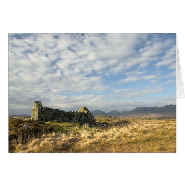 Irish ruin (Front Horizontal)