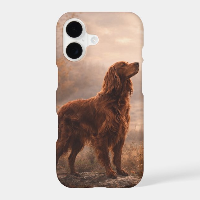 Irish Setter (Back)