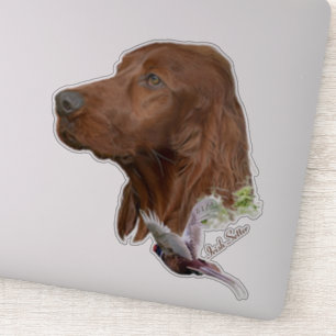 Irish Setter