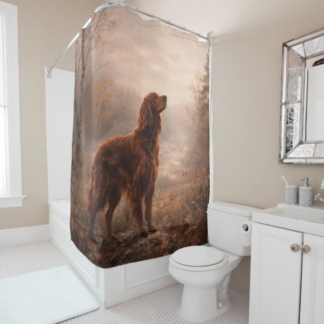 Irish Setter (In Situ)