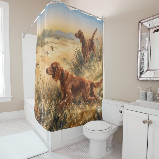  Irish Setter   (In Situ)