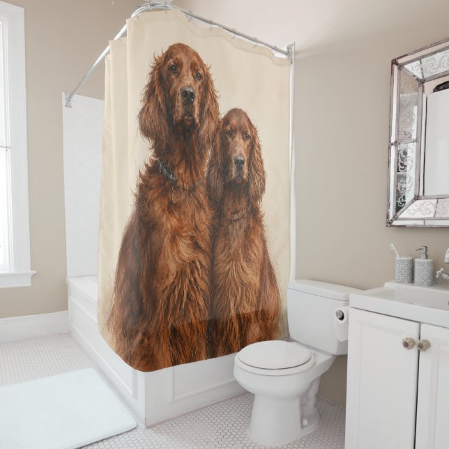  Irish Setter   (In Situ)