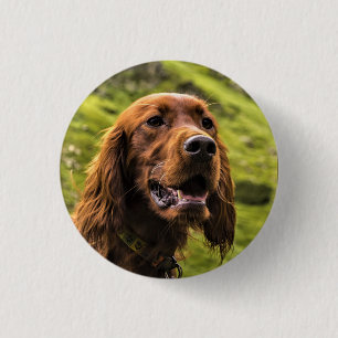 Irish Setter 1 Inch Round Button