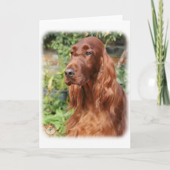 Irish Setter 9Y209D-090 Card (Front)