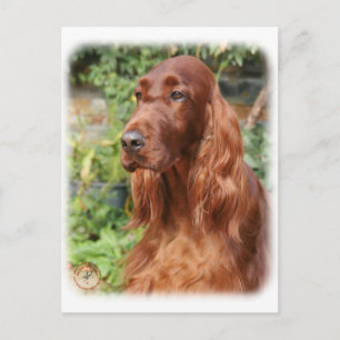 Irish Setter 9Y209D-090 Postcard