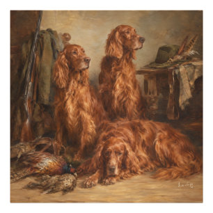 Irish Setter ,Art Photo Print