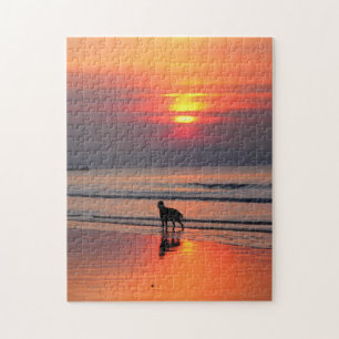 Irish Setter at Sunset on the Irish Sea Puzzle