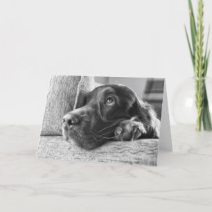 Irish Setter Blank Card