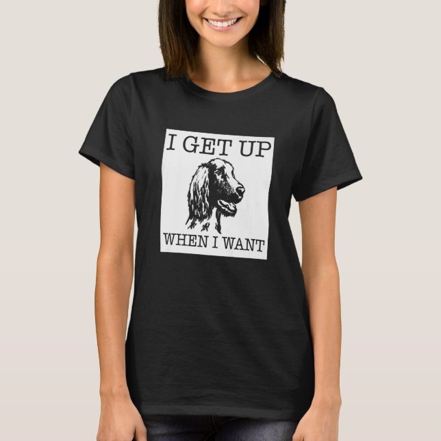 Irish Setter  dog    1 T-Shirt (Front)