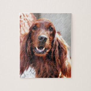 Irish Setter Dog Jigsaw Puzzle