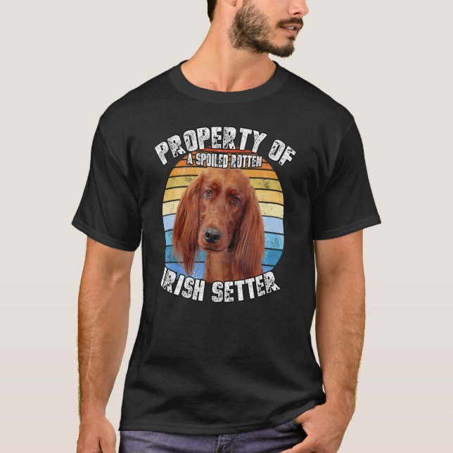 Irish Setter Dog Retro Property Of T-Shirt (Front)