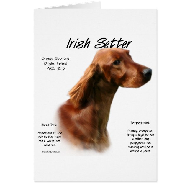 Irish Setter History Design (Front)