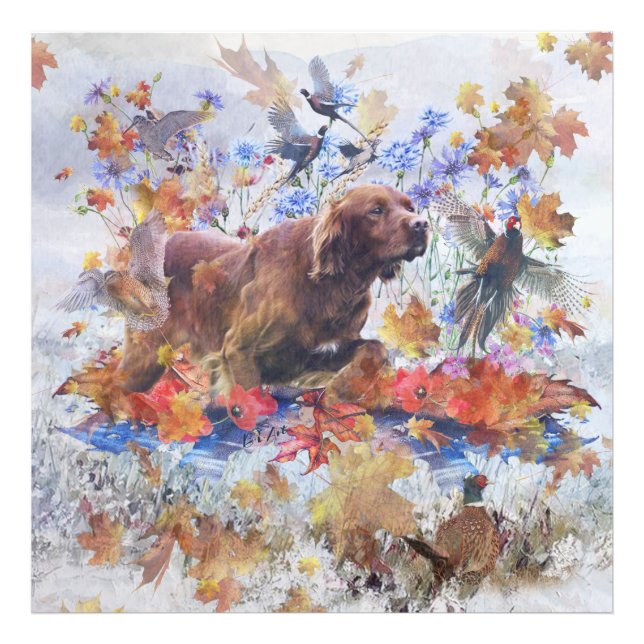 Irish Setter hunting    Photo Print (Front)