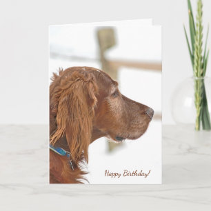 Irish Setter in snow for birthday Card