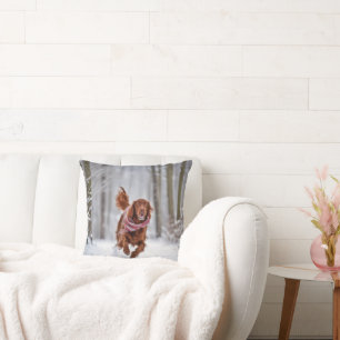 Irish Setter In Snow Throw Pillow