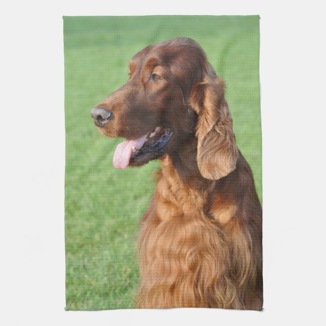 Irish Setter Kitchen Towel (Vertical)