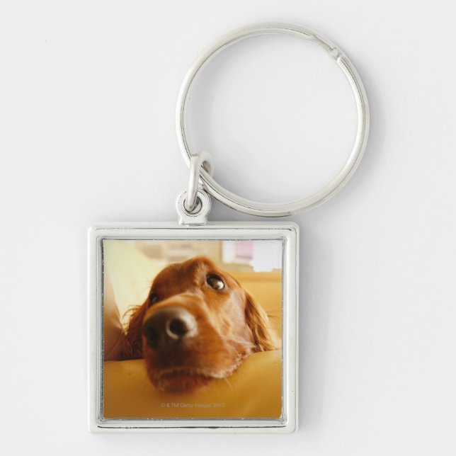 Irish Setter on sofa Keychain (Front)