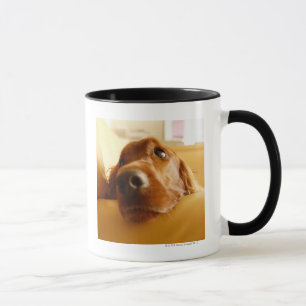 Irish Setter on sofa Mug
