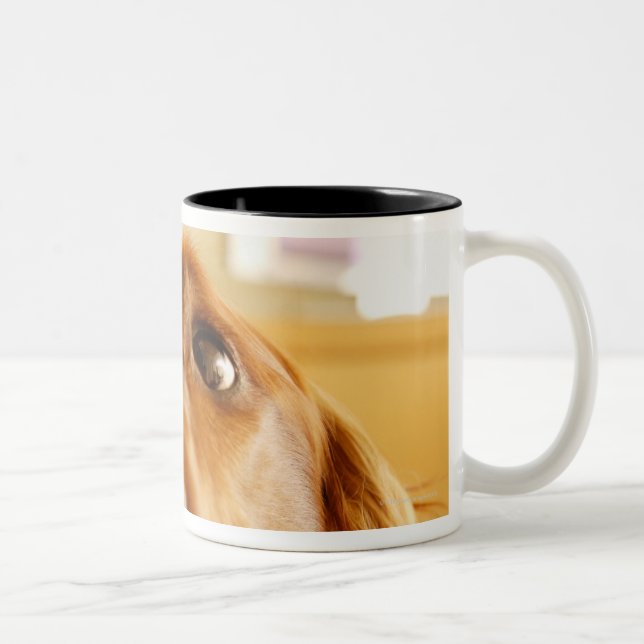 Irish Setter on sofa Two-Tone Coffee Mug (Right)
