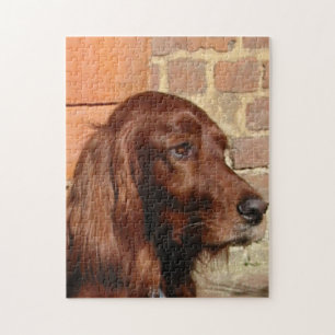 irish setter.png jigsaw puzzle