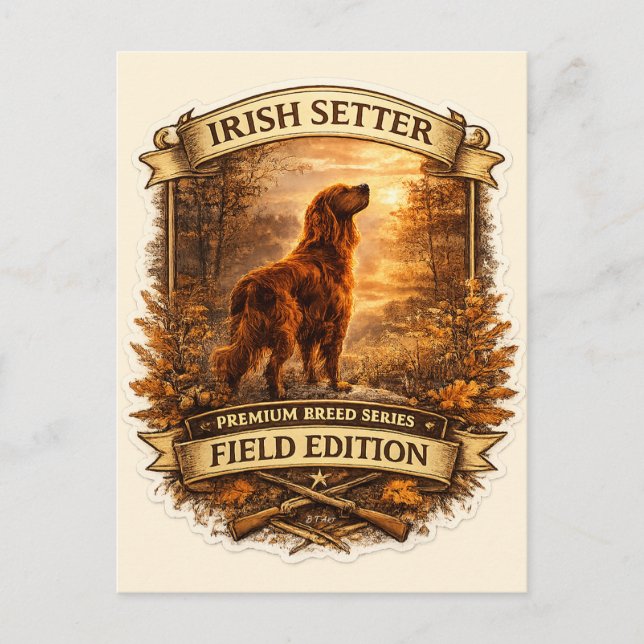 Irish Setter Postcard (Front)