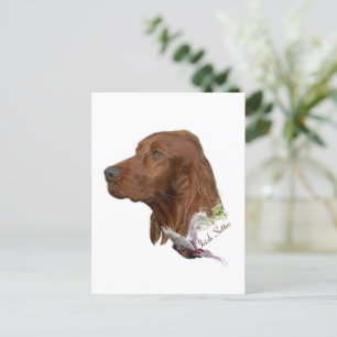 Irish Setter        Postcard