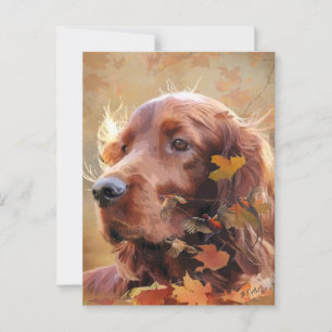  Irish Setter Postcard