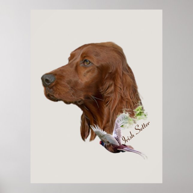 Irish Setter         Poster (Front)