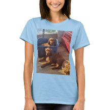Irish Setter Puppies T-shirt