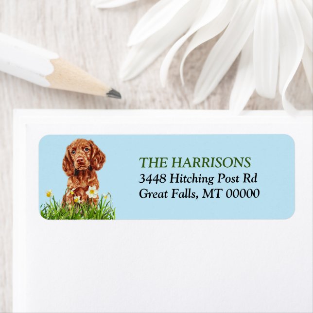 Irish Setter Puppy Daffodil Garden Return Address (Insitu)