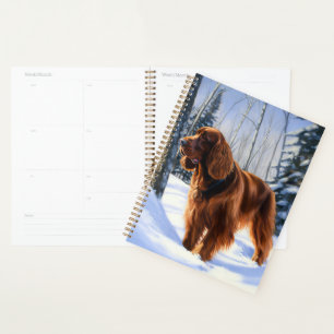 Irish Setter Qu'il neige Noël