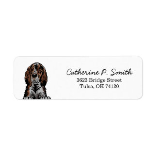 Irish Setter Return Address
