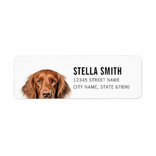 Irish Setter Return Address Labels