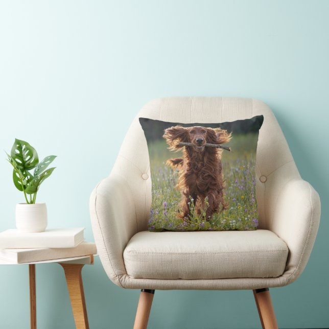 Irish Setter Running with a Stick Throw Pillow (Chair)