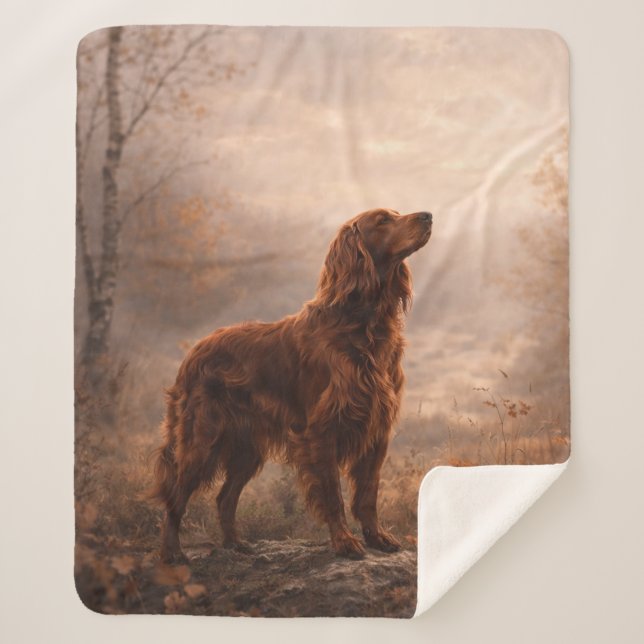 Irish Setter Sherpa Blanket (Front)