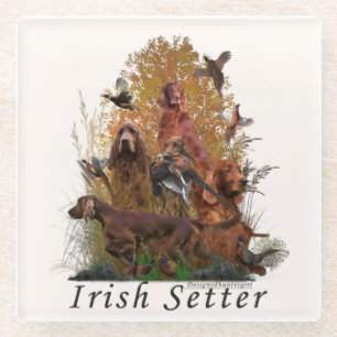 Irish Setter  Tapestry T-Shirt Keychain Button Squ Glass Coaster