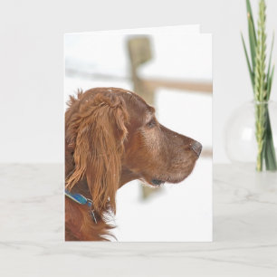 Irish Setter-thinking of you Card